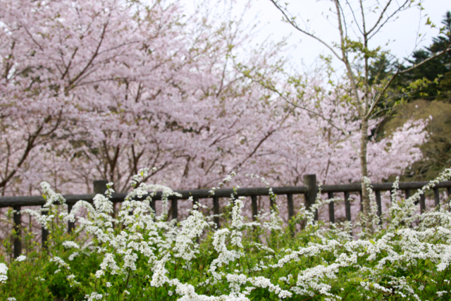 【濃溝の滝】_f0348831_17581412.jpg