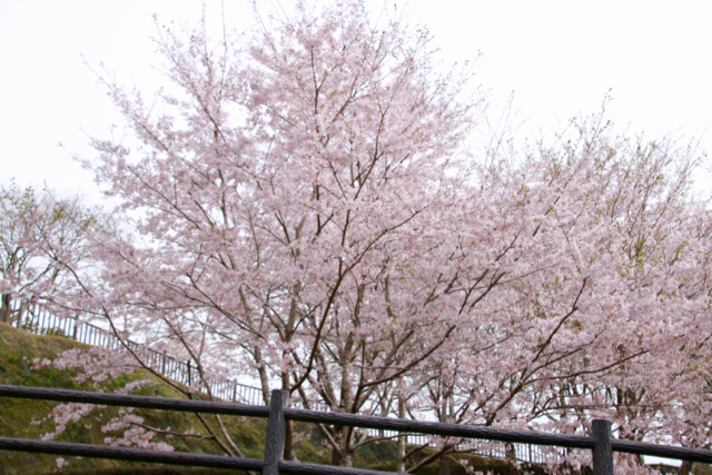 【濃溝の滝】_f0348831_17584134.jpg