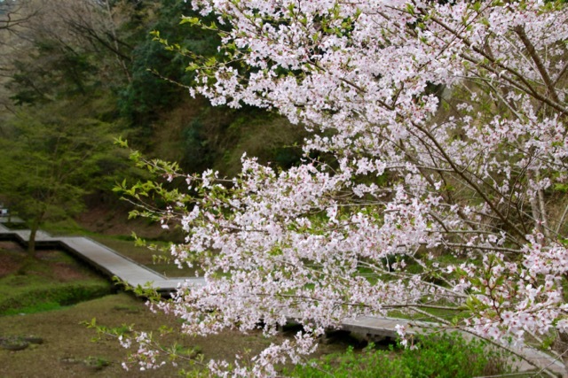 【濃溝の滝】_f0348831_18000877.jpg