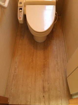 トイレ改造〜その2〜_d0174135_19055256.jpeg