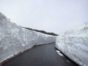 短角牛放牧地はまだまだ寒いっ!_b0206037_09090993.jpg