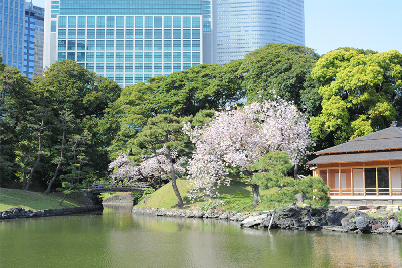 春の東京、浜離宮。_a0073742_15422523.jpg