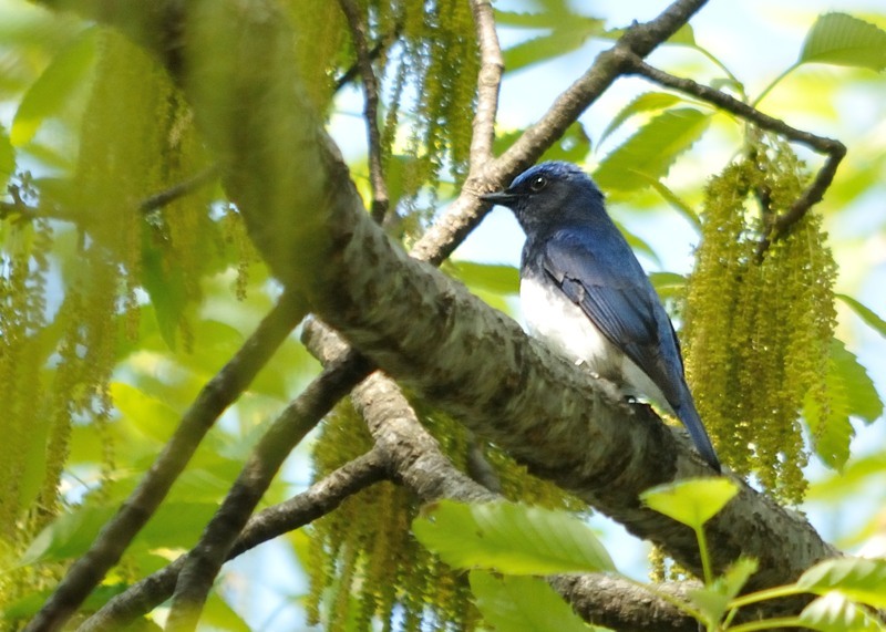 c0334250_22444046.jpg