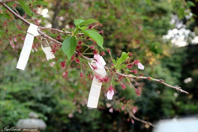 f0351853_04092348.jpg