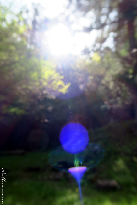 f0351853_04093287.jpg