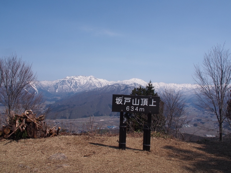 六万騎山＆坂戸山 花散歩 ②　（　2016.４.12　）_b0335256_11454432.jpg