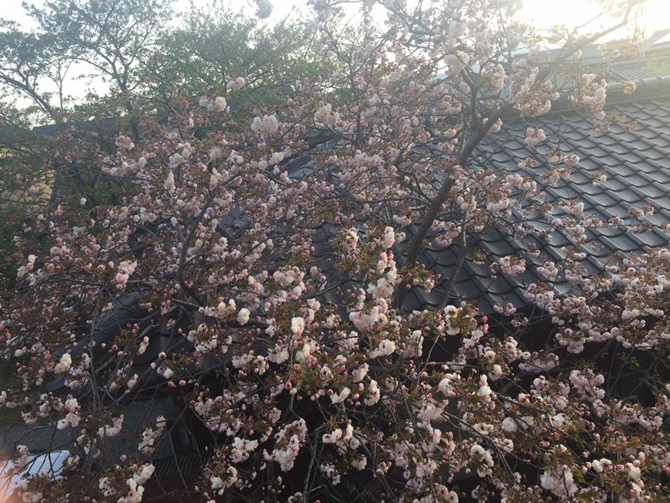 c0115560_1118140.jpg