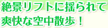 <2016年4月2~3日>身延久遠寺(日蓮宗総本山)&七面山登山:(前編)_c0119160_17125340.gif