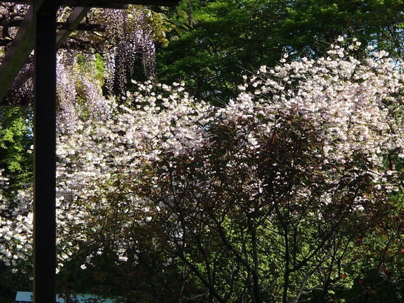 b0044663_02640.jpg