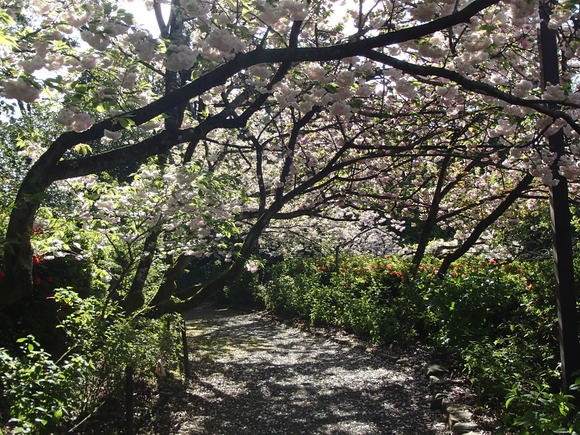 b0044663_03826.jpg