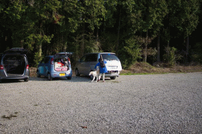 c0260264_19592588.gif