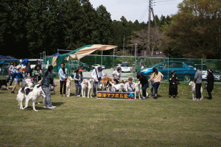 c0260264_20213514.gif