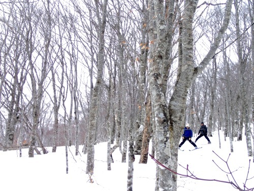 c0321967_11414926.jpeg