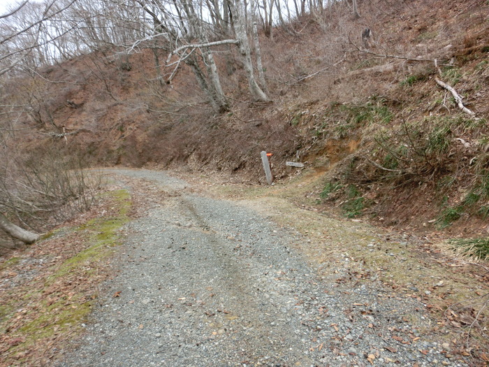 b0185573_17305567.jpg