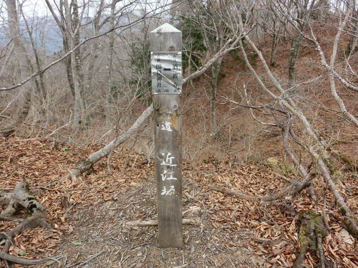 b0185573_17482416.jpg