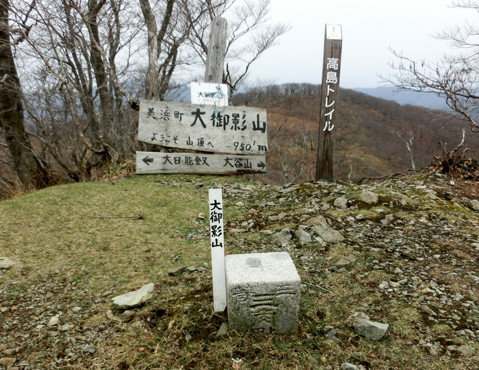 No438滋賀・イワウチワ街道の大御影山を歩く_b0185573_1959856.jpg