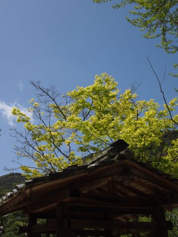 f0005774_2123313.jpg