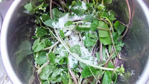 c0022275_11369.jpg