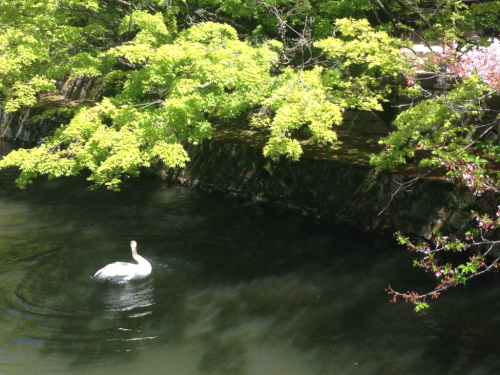 c0139090_21230911.jpg