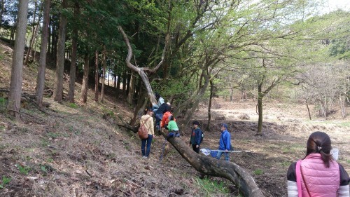 大柿いきもの調査隊2016.4月編_d0266698_21270772.jpg