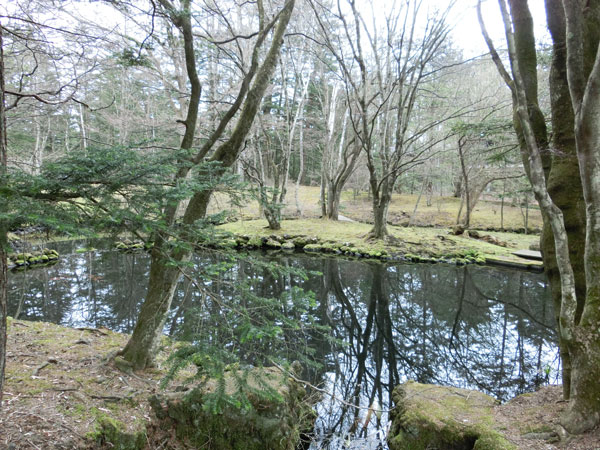 e0131399_01798.jpg