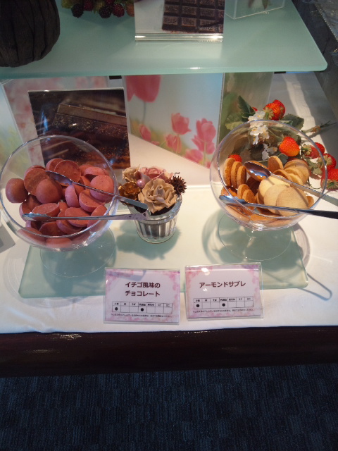 川崎日航ホテル 夜間飛行 春のショコラスイーツブッフェ_f0076001_23235859.jpg