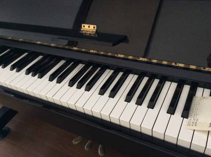 b0220002_17313526.jpeg
