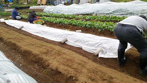 e0270403_1183974.jpg
