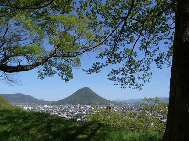 丸亀城ほか丸亀市散策_f0197703_12060276.jpg