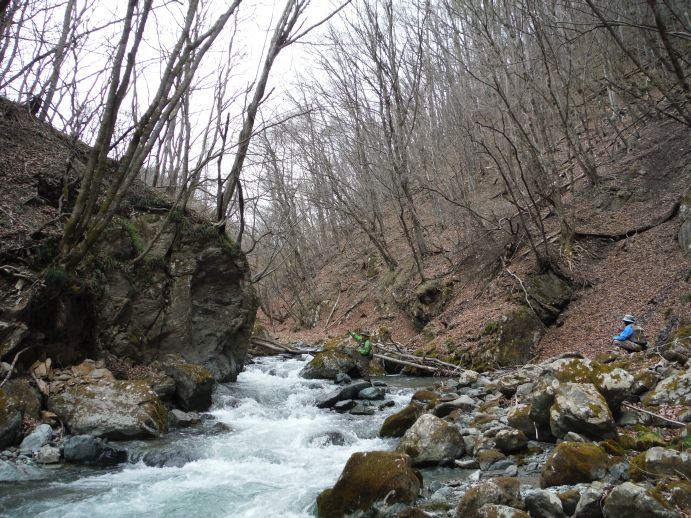 b0172805_1115765.jpg