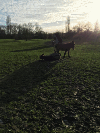 b0151911_871438.gif