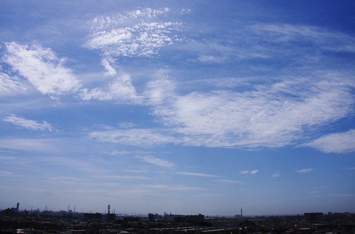 b0268615_1565682.jpg