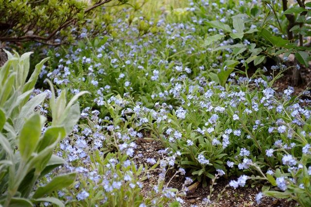 d0096422_17294720.jpg