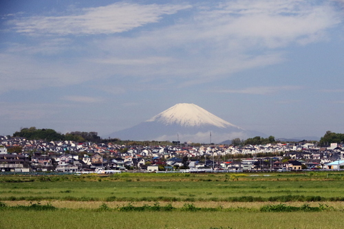 d0240223_1350489.jpg