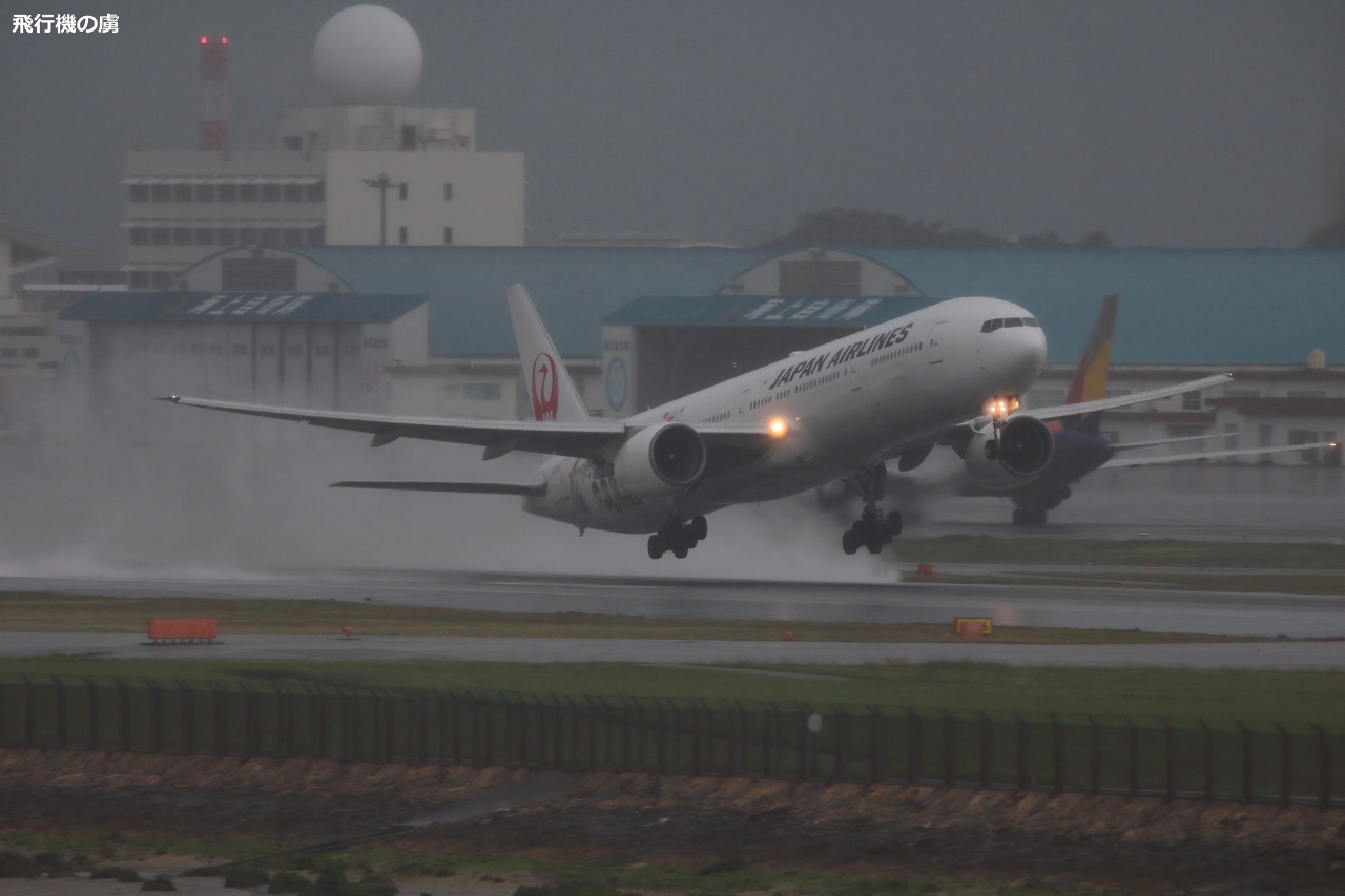 b0313338_21020111.jpg