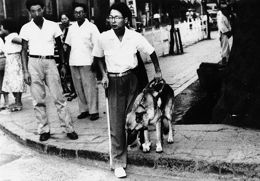 『盲導犬の物語〜アイメイトは対等なパートナー〜』 (2)初の国産盲導犬使用者、河相洌さんに聞く_d0323943_15432553.jpg