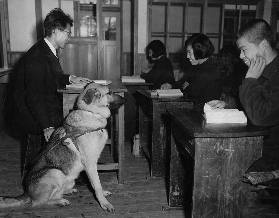 『盲導犬の物語〜アイメイトは対等なパートナー〜』　(2)初の国産盲導犬使用者、河相洌さんに聞く_d0323943_1547476.jpg