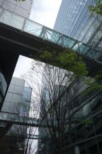 真田丸「秀吉」_e0080345_8482767.jpg