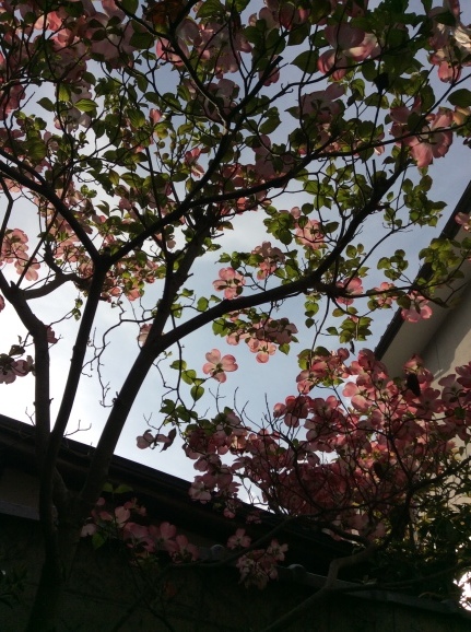 a0307846_20081482.jpeg