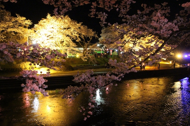 いしかわの桜／あさひ公園周辺４　＠福島県石川町_f0048546_05471038.jpg