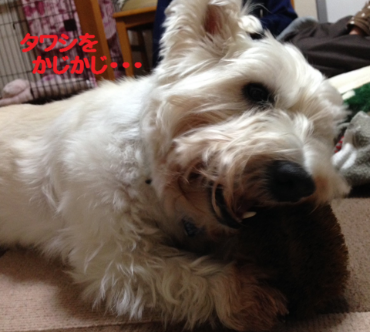 b0239151_1218298.png