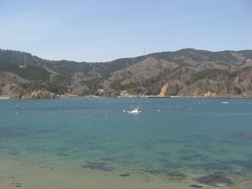 b0301459_1458798.jpg