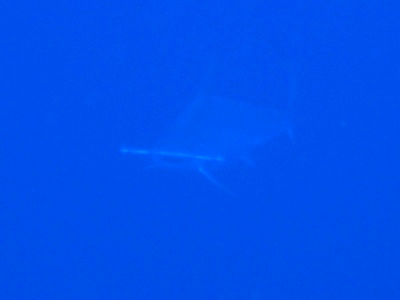 4月18日 風向きころころ。_d0113459_1862441.jpg