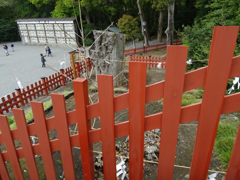 ４・パワースポット・鶴岡八幡宮_b0236665_20263586.jpg