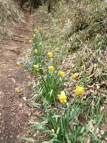 c0273271_1245534.jpg