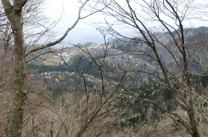 b0185573_9182660.jpg