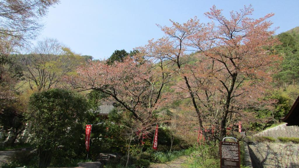 春を感じて_e0191174_21121085.jpg