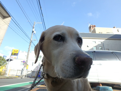 f0052277_0325780.jpg