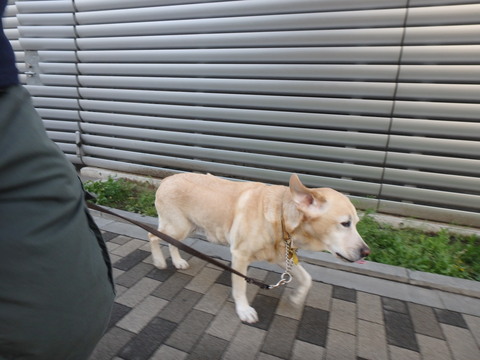 f0052277_0343673.jpg