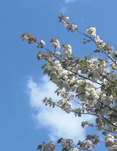 b0194979_23282092.jpg
